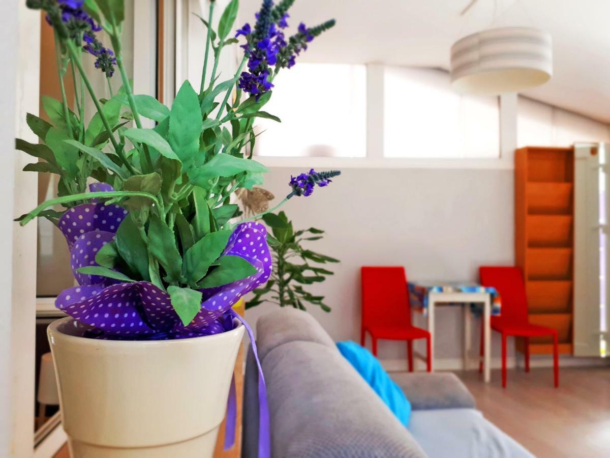 Apartment Matej 로비니스코 셀로 외부 사진
